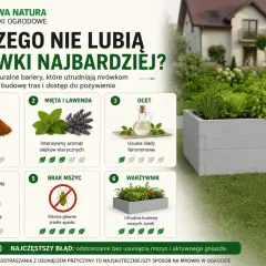 Cynamon, mięta, lawenda, ocet, ziemia okrzemkowa i brak mszyc to rzeczy, czego nie lubią mrówki. Naturalne bariery w ogrodzie.