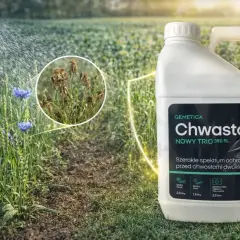Butelka Chwastox Trio z informacją o dawkowaniu. W tle pole z chabrami i uschniętymi chwastami.