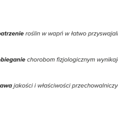 Wapń dla roślin: łatwo przyswajalny, zapobiega chorobom, poprawia jakość plonu. Wapnovit to klucz do zdrowych upraw.