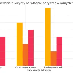 Ile nawozu na hektar kukurydzy? Optymalne dawki dla najwyższych plonów