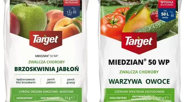 Kiedy opryskiwać miedzianem? Kluczowe terminy i zasady dla roślin