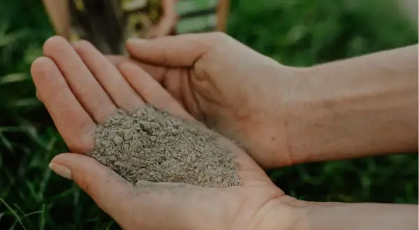 Dłonie trzymają drobny, szary proszek – mączka bazaltowa, naturalny nawóz dla roślin.