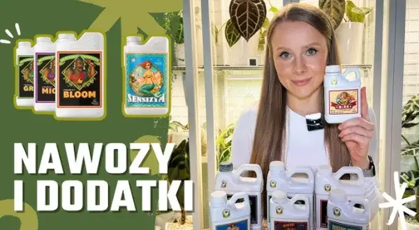 Najlepszy nawóz do hydroponiki – uniknij błędów w uprawie roślin