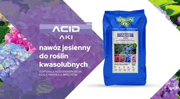 Jaki nawóz jesienny do hortensji zapewni zdrowy rozwój roślin?