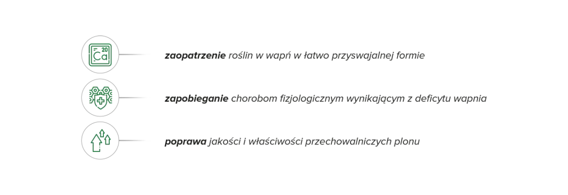 Wapń dla roślin: łatwo przyswajalny, zapobiega chorobom, poprawia jakość plonu. Wapnovit to klucz do zdrowych upraw.