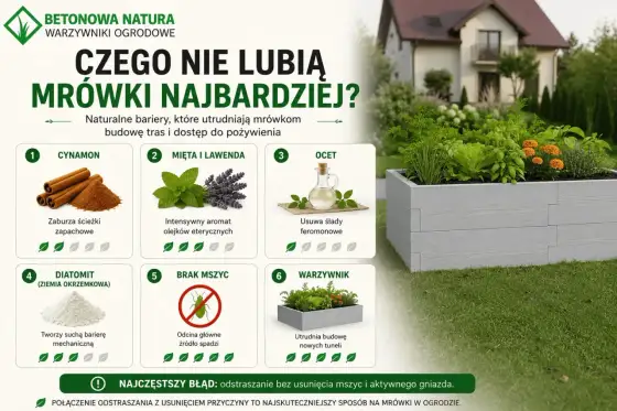Czego nie lubią mrówki? Naturalne sposoby w domu i ogrodzie